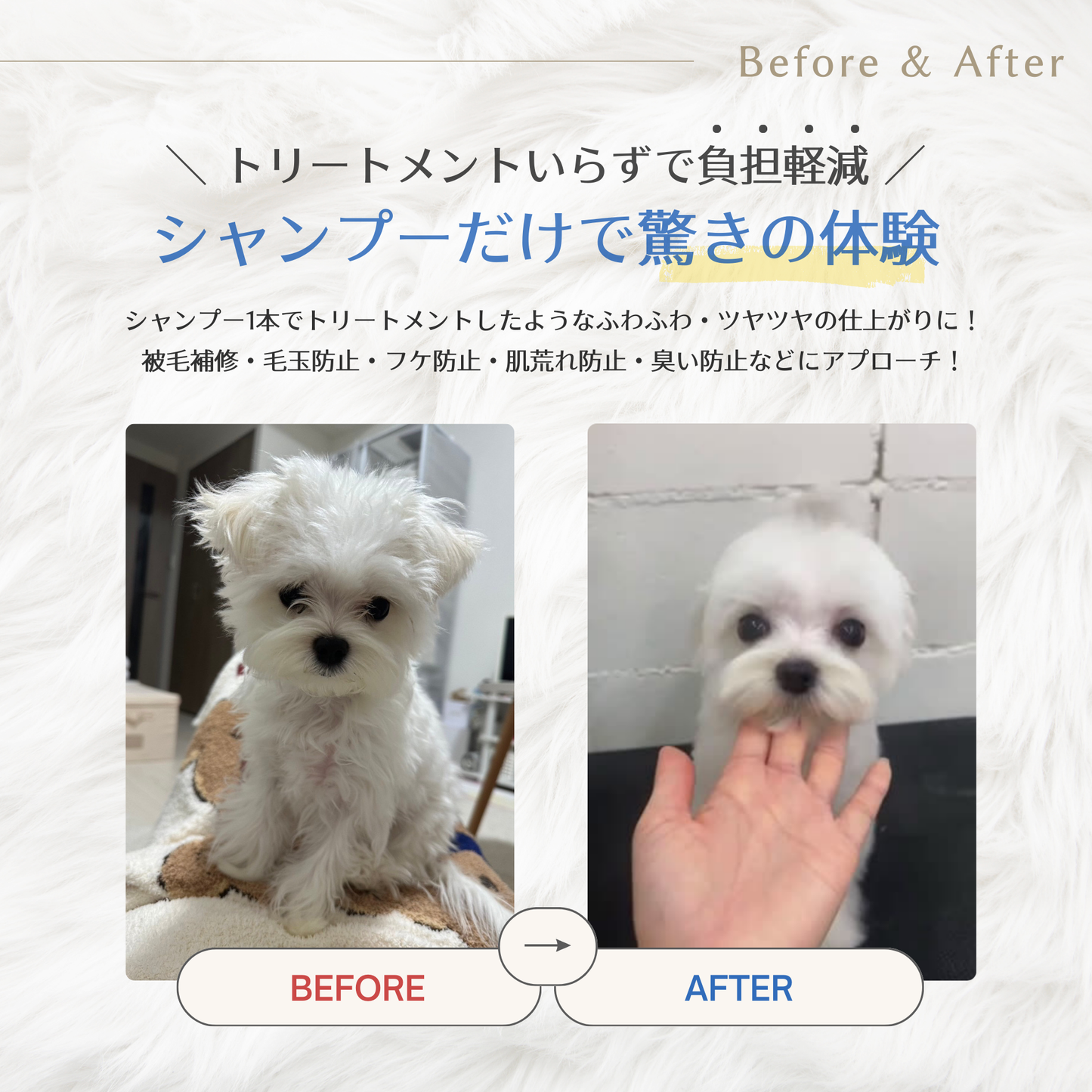 バウバウプレステージシャンプー