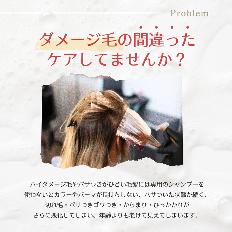 ウルブシャンプー