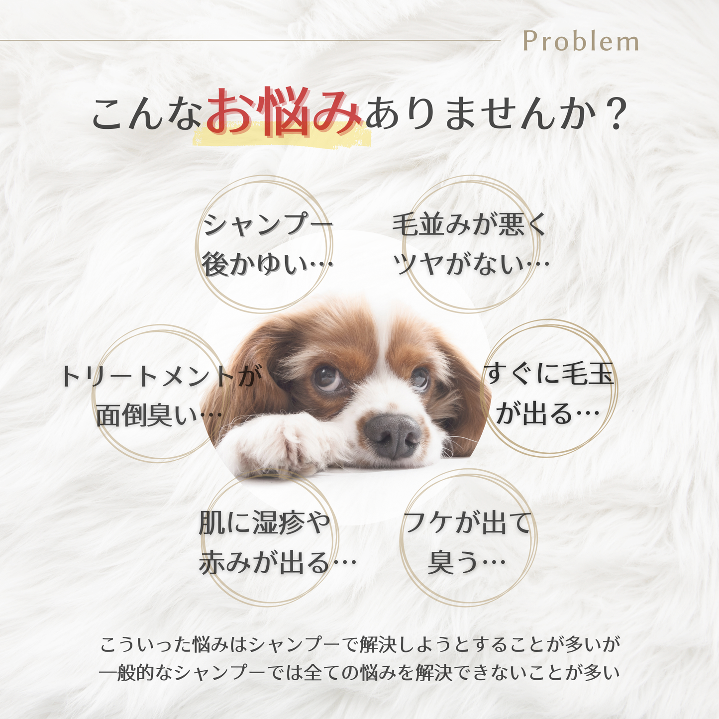 バウバウプレステージシャンプー