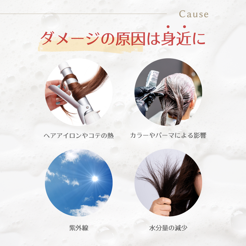 ウルブシャンプー