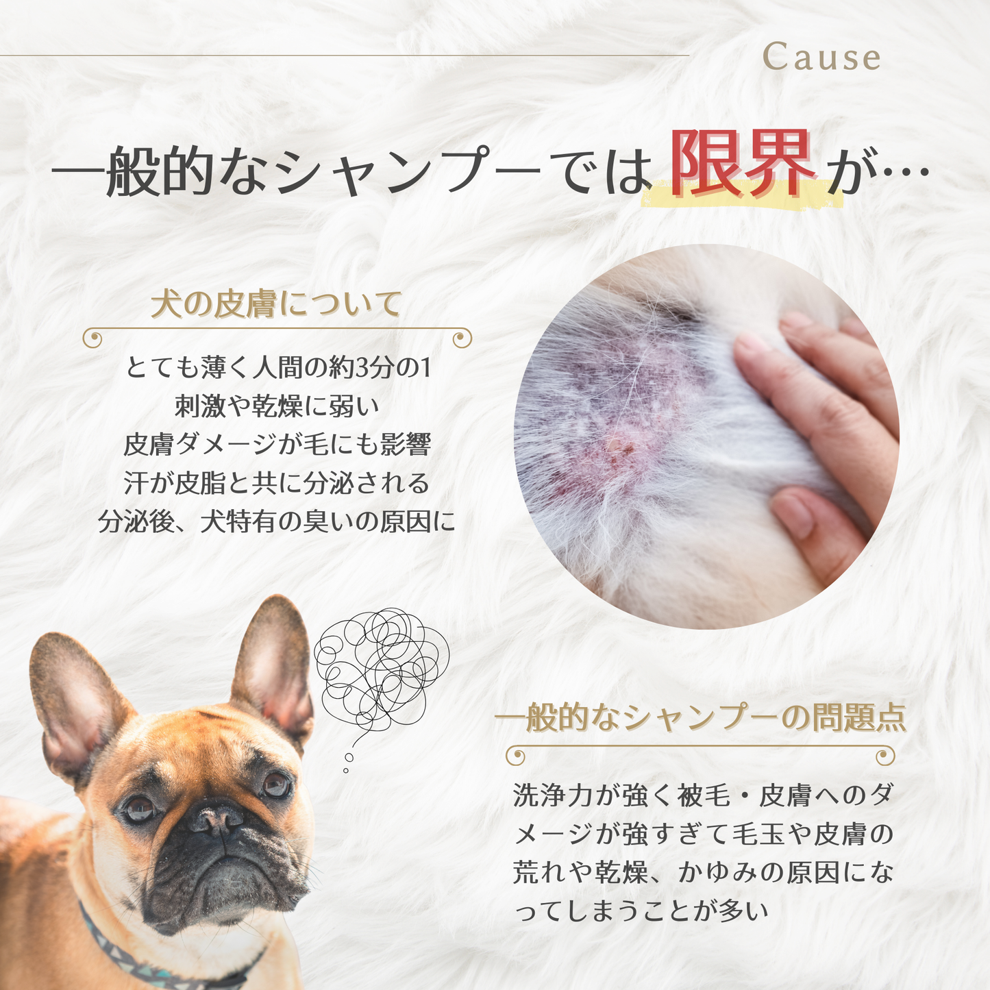 バウバウプレステージシャンプー