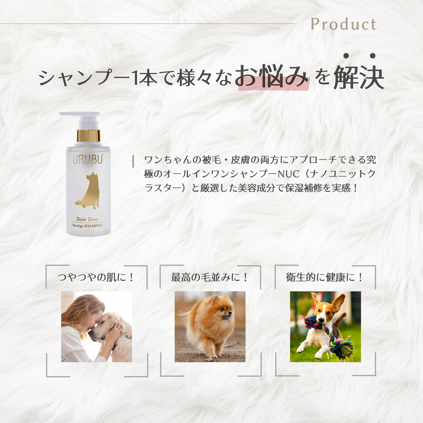 バウバウプレステージシャンプー