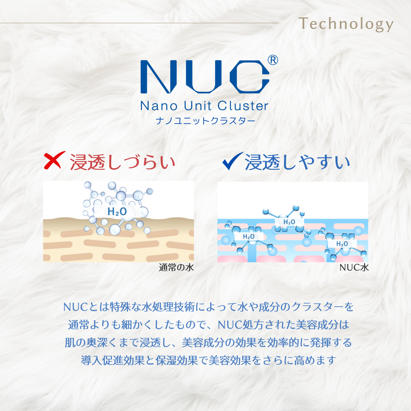 バウバウプレステージシャンプー