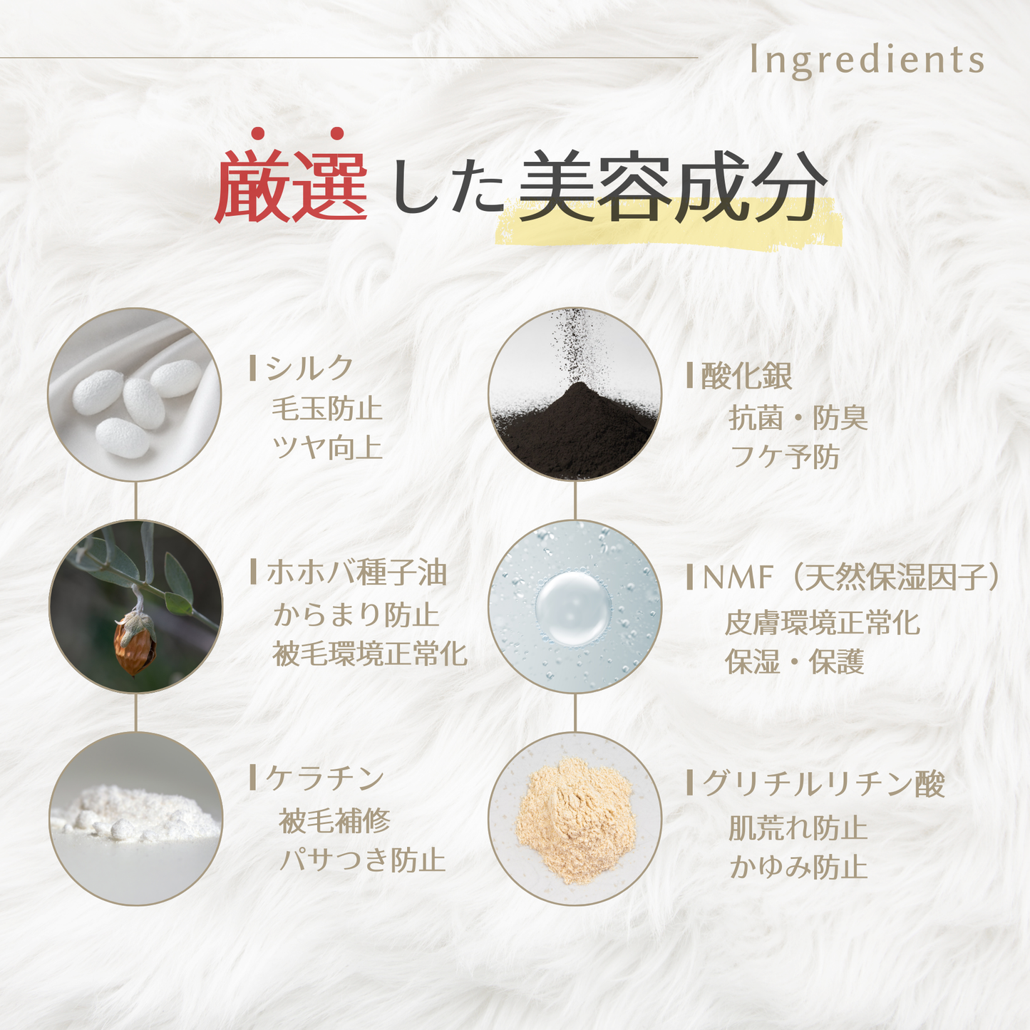 バウバウプレステージシャンプー