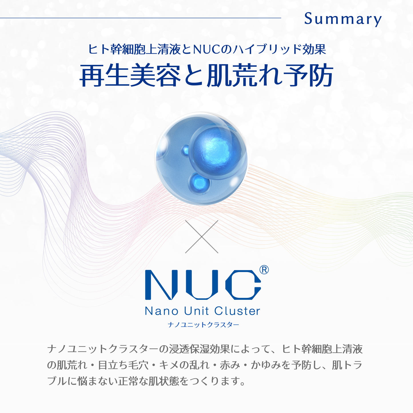 ステムソリューションセラム　