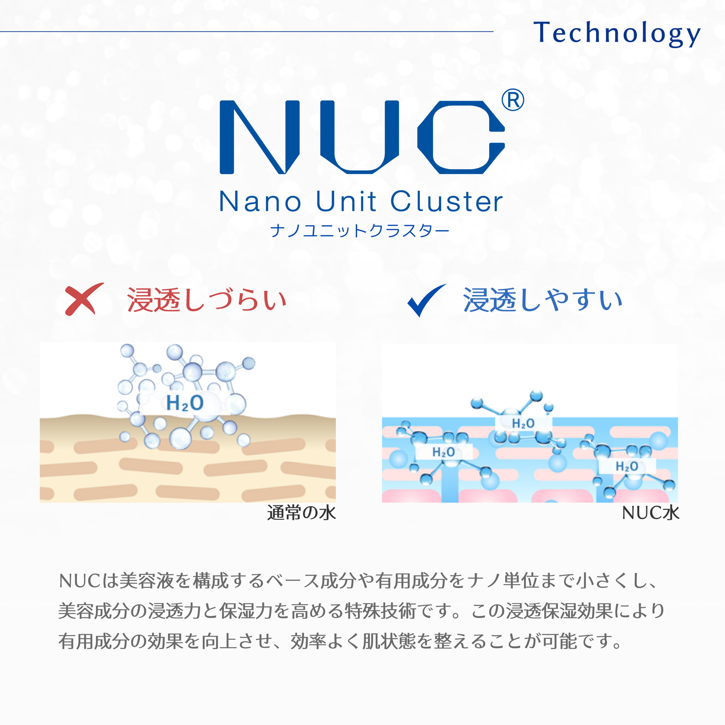 ステムソリューションセラム　